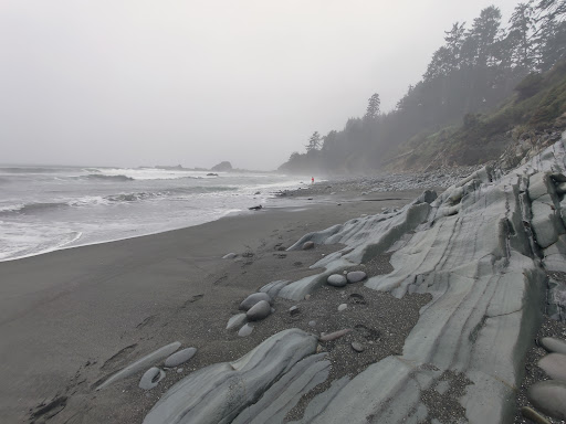 National Park «Olympic National Park», reviews and photos