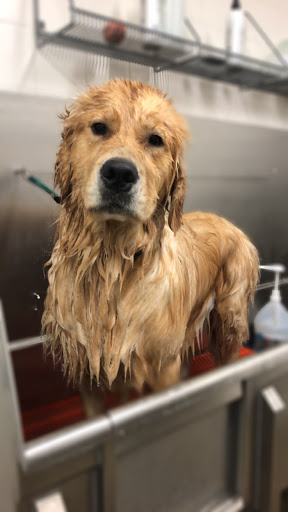 Pet Supply Store «Petco Animal Supplies», reviews and photos, 7400 Rivers Ave z, North Charleston, SC 29406, USA