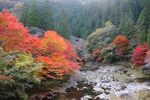 Okutsu valley image