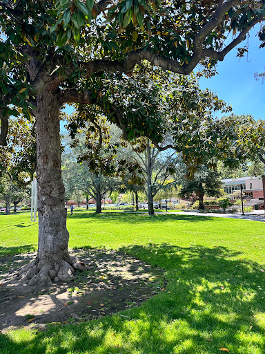 Los Gatos Library image
