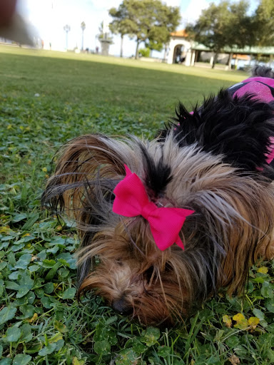 Park «Cocoa Riverfront Park», reviews and photos, 401 Riveredge Blvd, Cocoa, FL 32922, USA