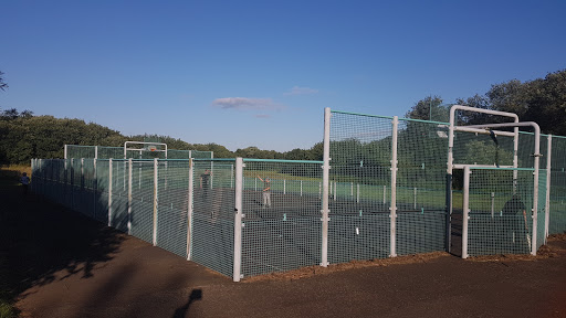 Coleshill Basketball Court