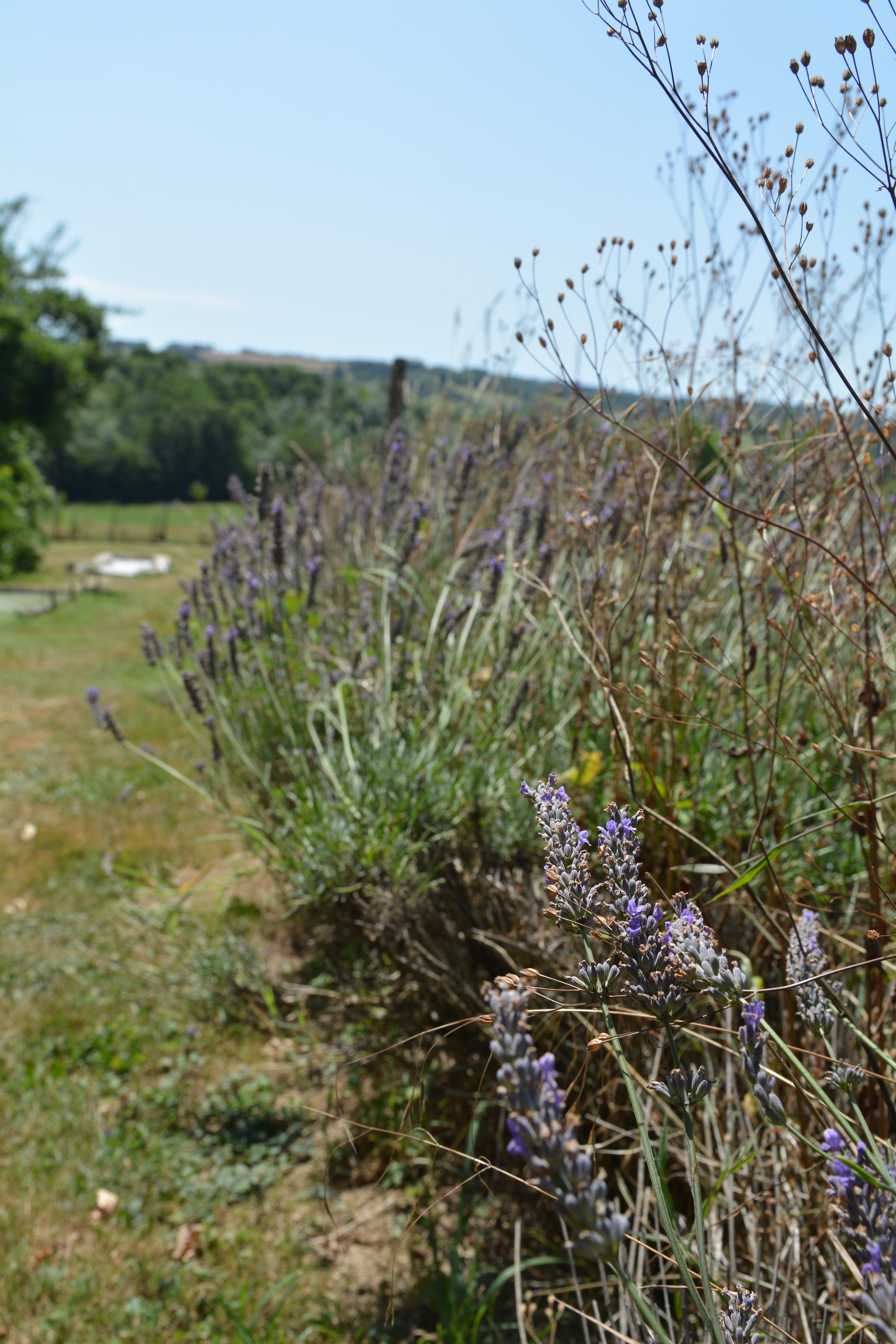 Photo n° 19 de l'avis de Wouter.t fait le 18/08/2019 à 13:45
