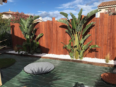 Au Jardin d'Oc - Maxime Bochet Jardinier Paysagiste à Montpellier à Montpellier