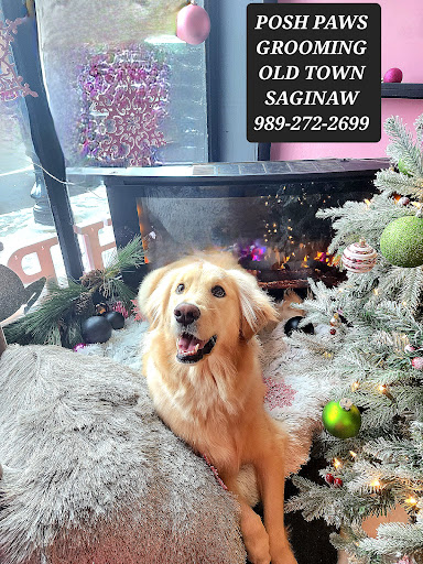 Picky Chic Posh Paws Grooming Boutique