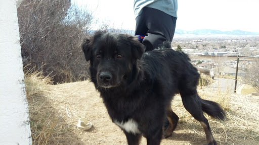 Park «Inspiration Point Park», reviews and photos, 4901 Sheridan Blvd, Denver, CO 80212, USA