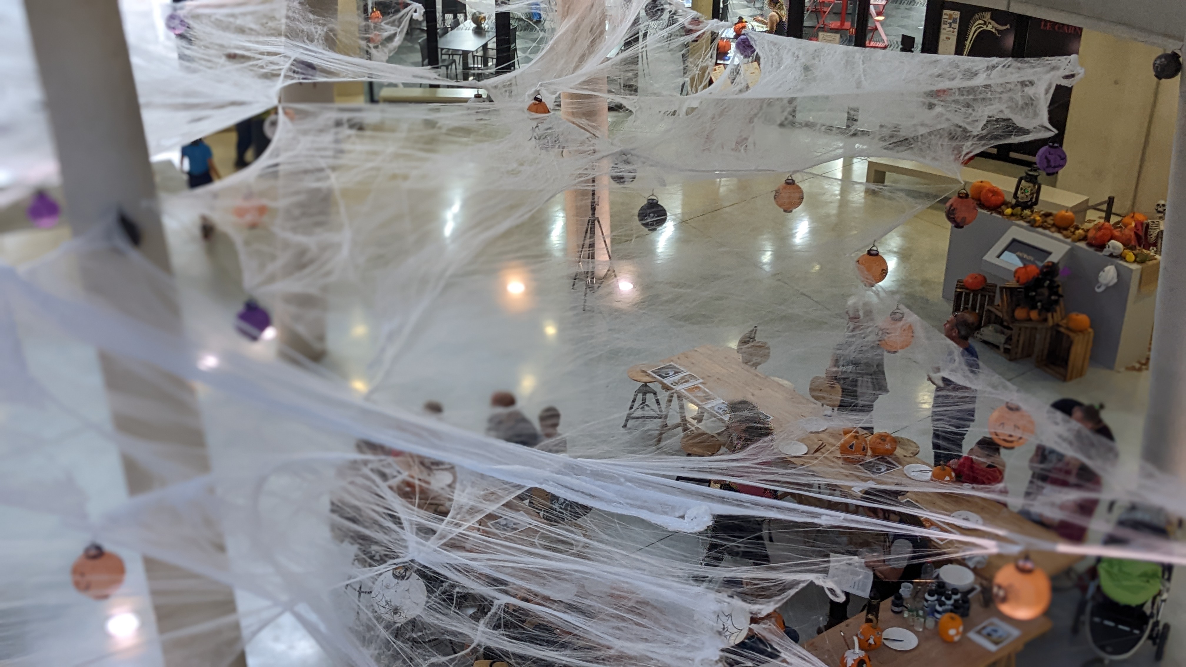 Photo n° 5 de l'avis de Raph. fait le 30/01/2023 à 07:34