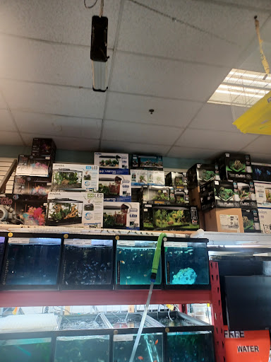 Pet Store «Pet Resources», reviews and photos, 814 Westchester Ave, Bronx, NY 10455, USA