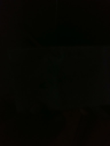 Gun Shop «Wyoming Guns», reviews and photos, 5987 S Suncoast Blvd, Homosassa, FL 34446, USA