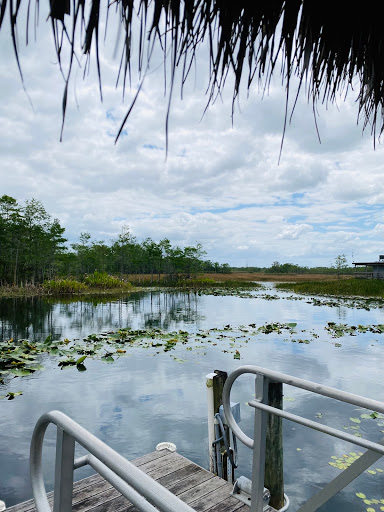 Nature Preserve «Grassy Waters Preserve», reviews and photos, 8264 Northlake Blvd, West Palm Beach, FL 33412, USA