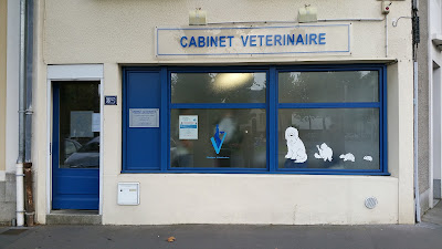 Cabinet Vétérinaire Ste Anne à Nantes