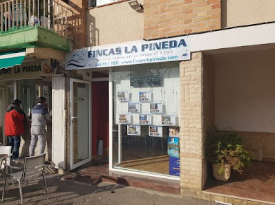 Fincas La Pineda Passeig de Pau Casals, 79, Loc2, 43481 La Pineda, Tarragona, España