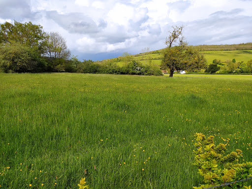 Photo 4 - Renault Pouilly Automobile
