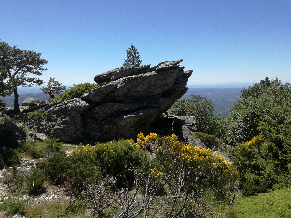 Photo n° 1 de l'avis de Didier.e fait le 17/07/2019 à 05:27
