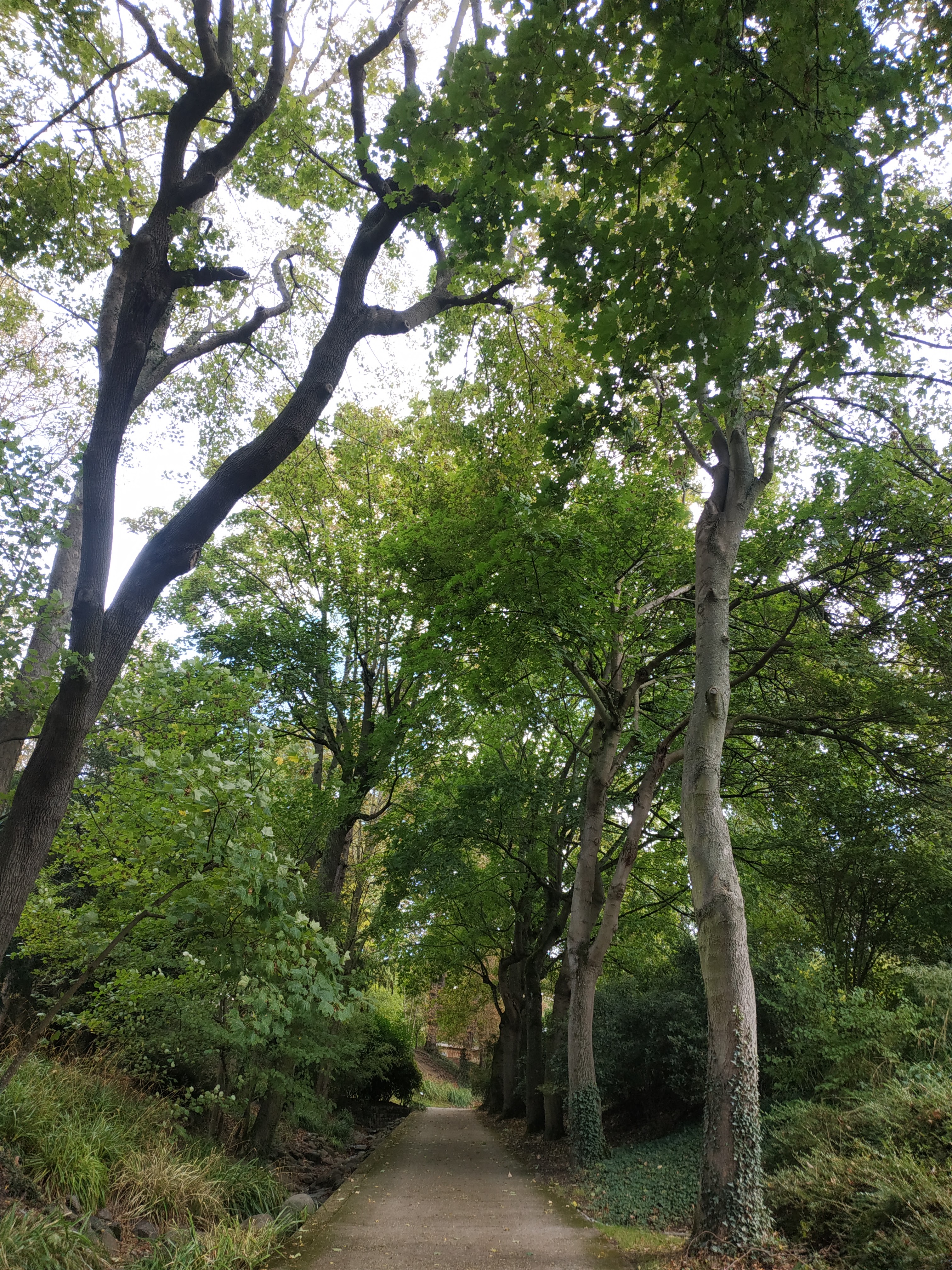 Photo n° 1 de l'avis de chanthalom.o fait le 04/10/2020 à 13:15