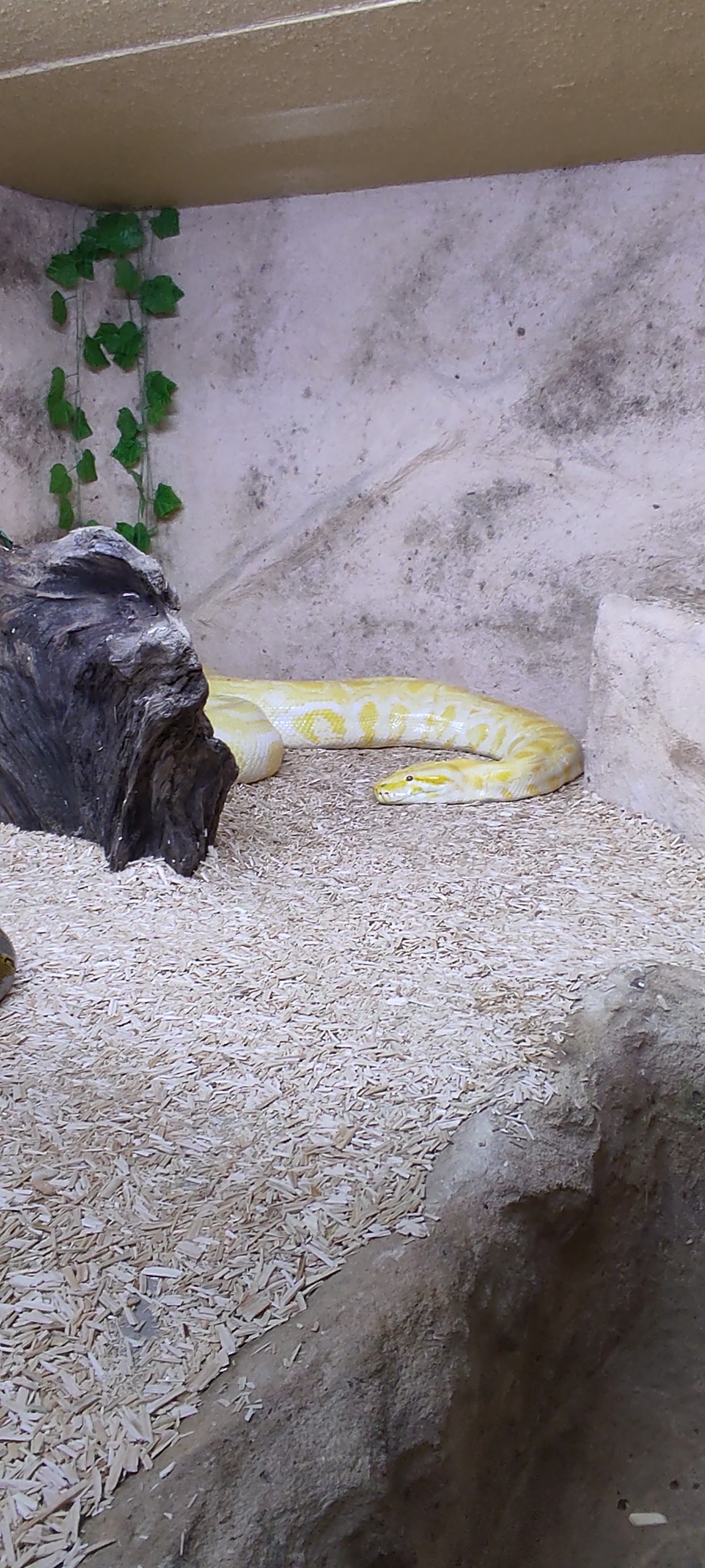 Photo n° 8 de l'avis de Astrid.i fait le 17/09/2021 à 13:14