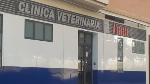 Clinicas esterilizar gatos Granada