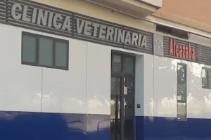 Alcazaba Veterinary Clinic image