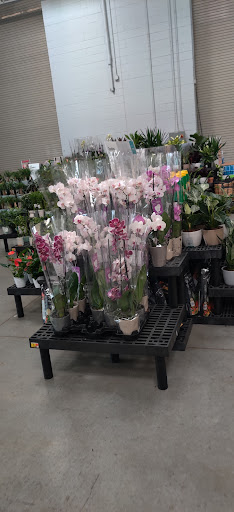 Department Store «Walmart Supercenter», reviews and photos, 2500 S Adams Rd, Rochester Hills, MI 48309, USA