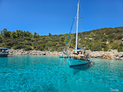 Orak Island Bay'in fotoğrafı çok temiz temizlik seviyesi ile