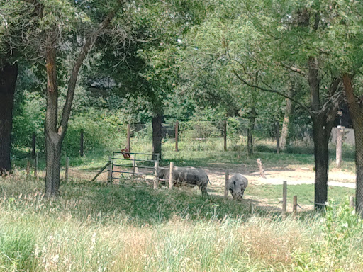 Zoo «Alaskan Adventure Henry Doorly Zoo», reviews and photos, 3701 S 10th St, Omaha, NE 68107, USA