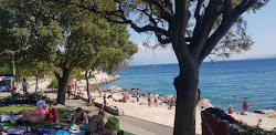 Novi Marina beach'in fotoğrafı imkanlar alanı