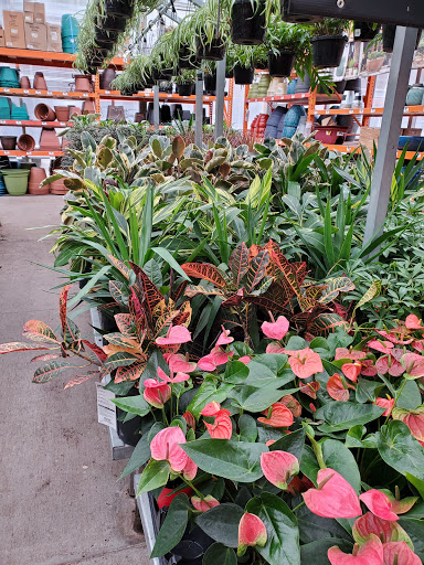 Home Improvement Store «The Home Depot», reviews and photos, 6199 Wilson Mills Rd, Highland Heights, OH 44143, USA