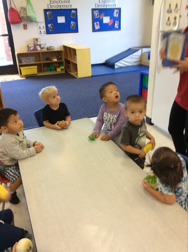 Day Care Center «Tutor Time of Walnut, CA», reviews and photos, 21639 Valley Blvd, Walnut, CA 91789, USA