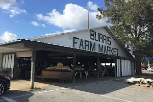 Burris Farm Market image