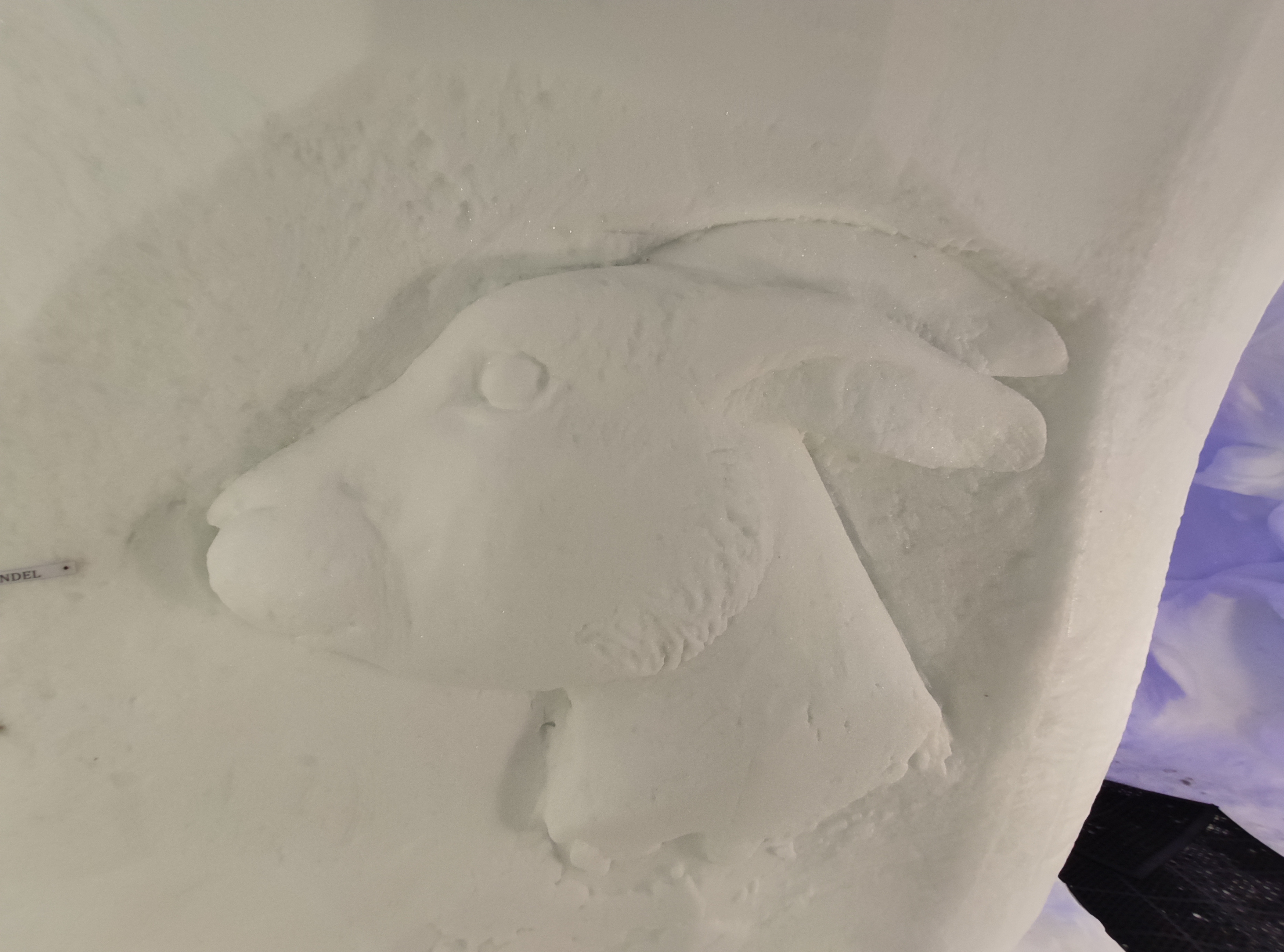 Photo n° 5 de l'avis de Chloé.l fait le 24/02/2020 à 16:29