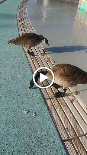 Community Center «Durango Hills Community Center», reviews and photos, 3521 N Durango Dr, Las Vegas, NV 89129, USA