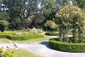 Victorian Rose Garden image