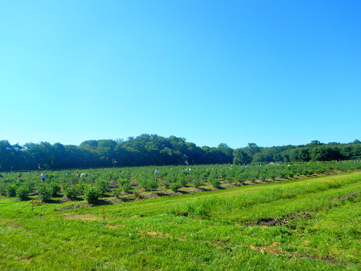 Farm «Jones Family Farms», reviews and photos, 606 Walnut Tree Hill Rd, Shelton, CT 06484, USA