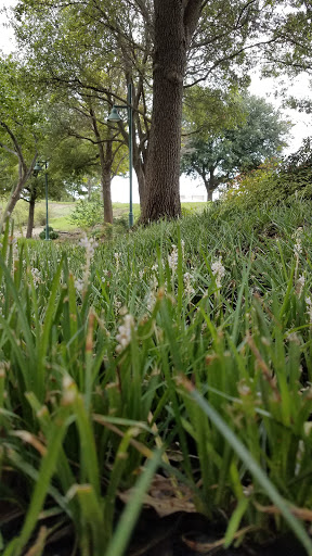 Park «Frisco Central Park», reviews and photos, 3155 Parkwood Blvd, Frisco, TX 75034, USA