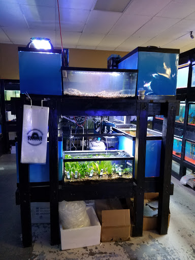 Pet Store «Pet Land», reviews and photos, 1450 Fort Campbell Blvd, Clarksville, TN 37042, USA