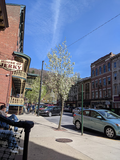 Music Store «Soundcheck Records Inc», reviews and photos, 23 Broadway, Jim Thorpe, PA 18229, USA