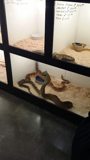 Pet Store «Miles of Exotics», reviews and photos, 8350 N Broadway, Kansas City, MO 64118, USA
