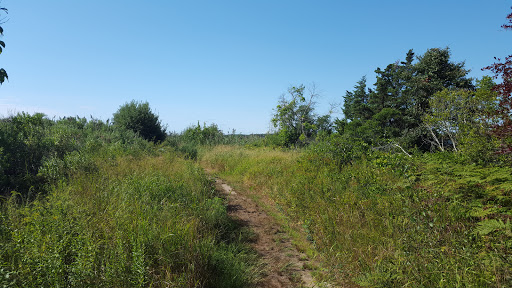 State Park «Nasketucket Bay State Reservation», reviews and photos, Brandt Island Rd,, Mattapoisett, MA 02739, USA