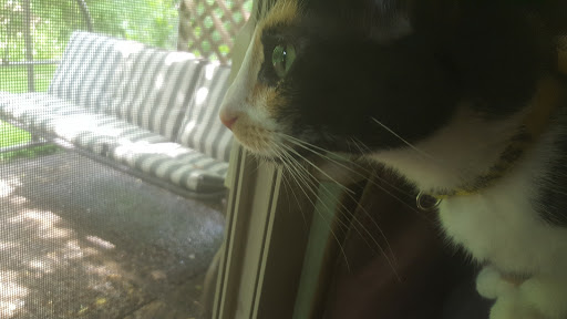 Public Golf Course «Apple Valley Golf Course», reviews and photos, 8661 140th St W, Apple Valley, MN 55124, USA