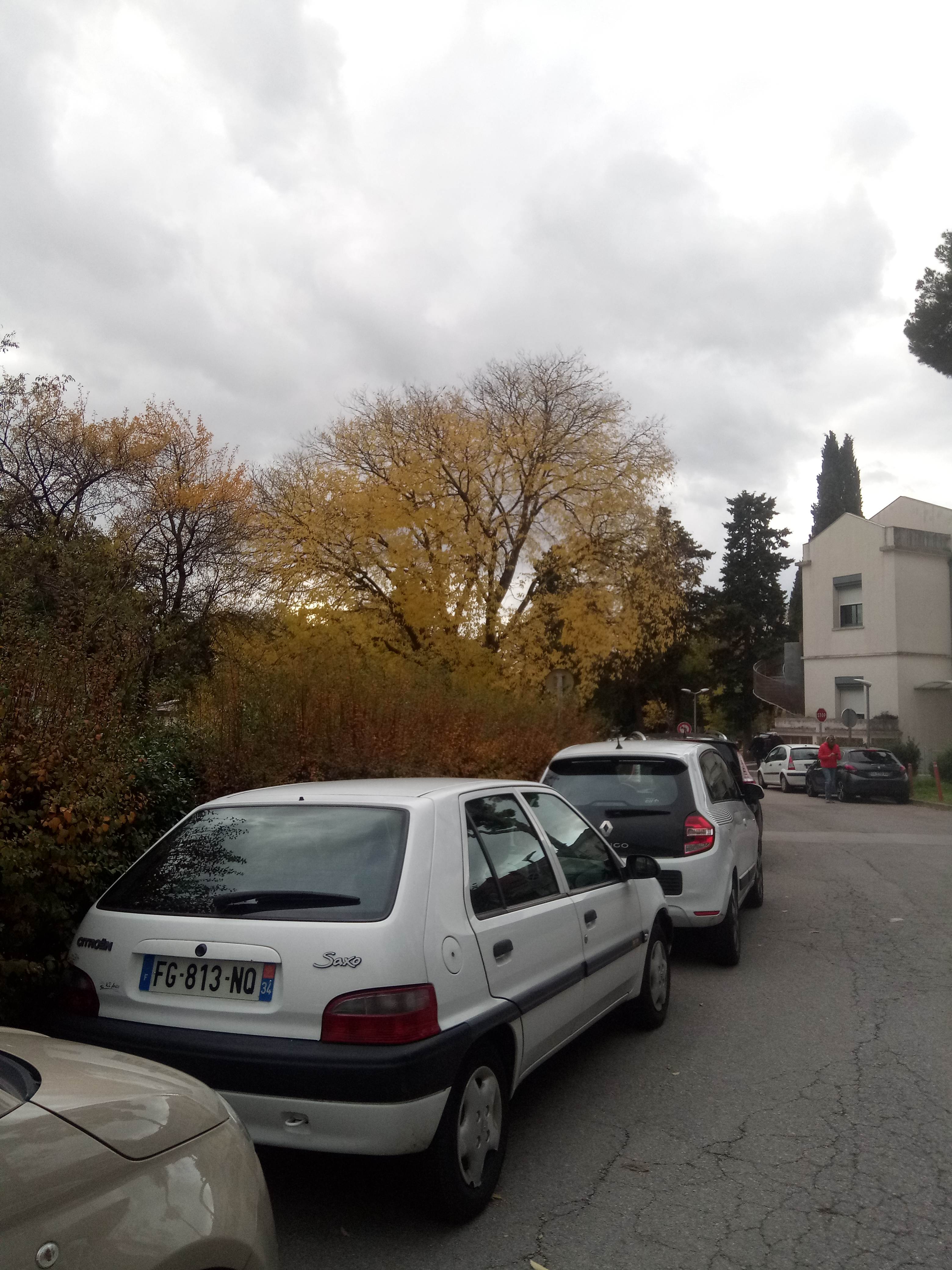 Photo n° 14 de l'avis de Estranged.l fait le 27/11/2019 à 20:09