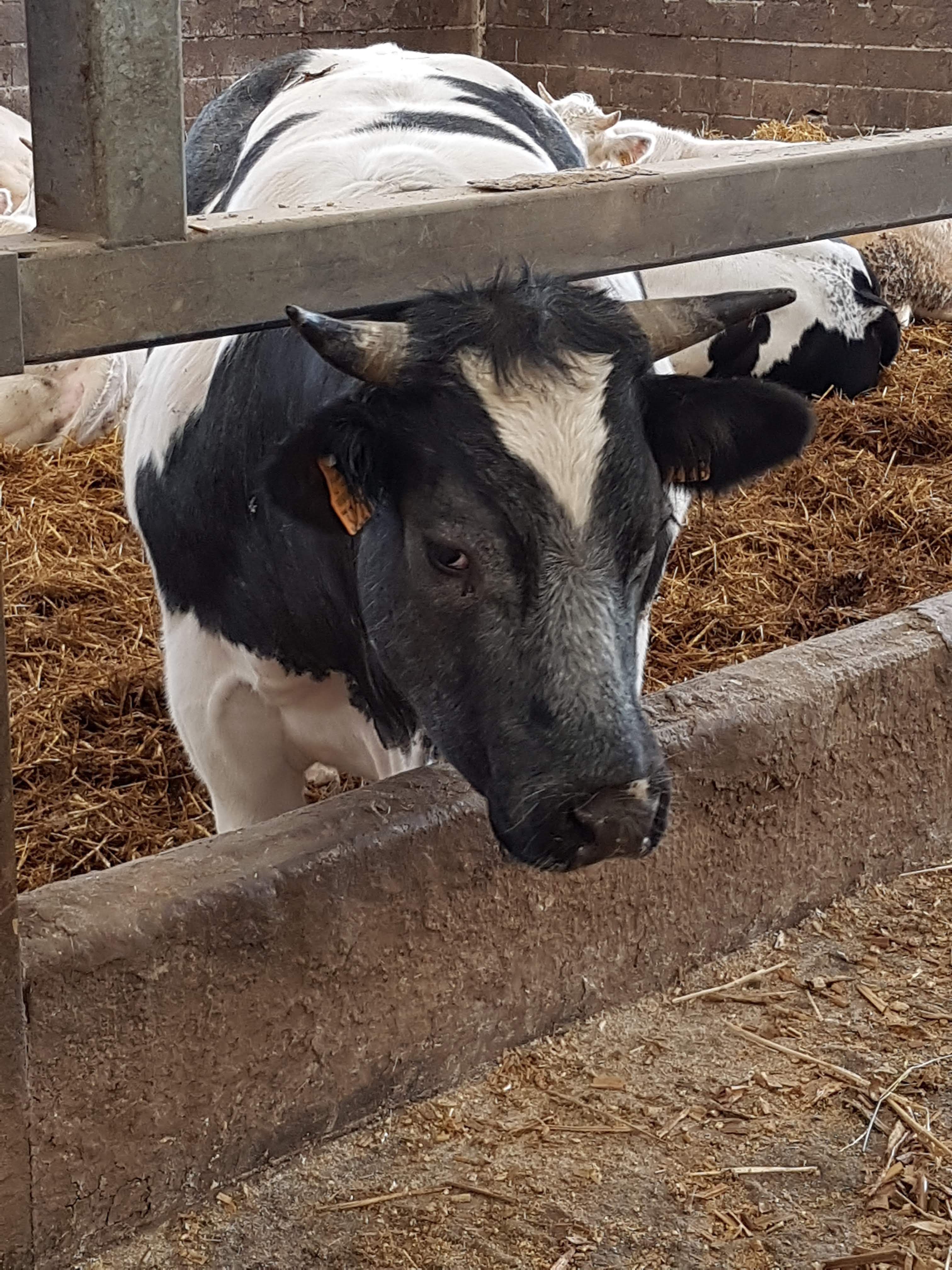 Photo n° 7 de l'avis de Alicia.P fait le 28/04/2019 à 13:27