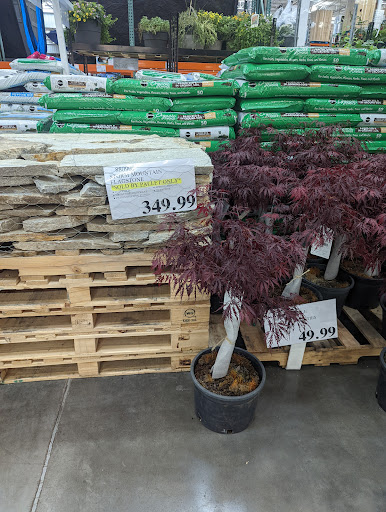 Shopping Mall «Argyle Square Shopping Center», reviews and photos, 8315 SW Jack Burns Blvd, Wilsonville, OR 97070, USA