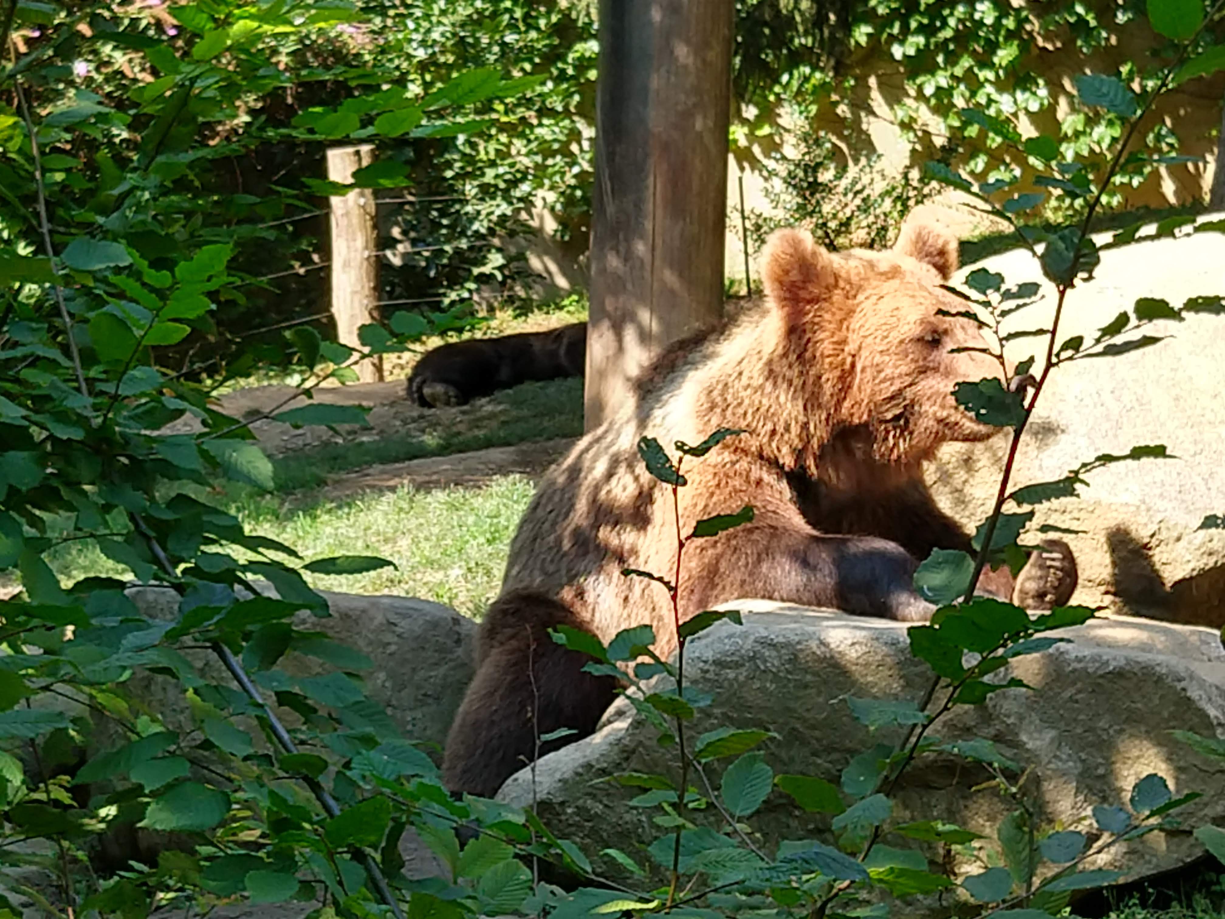 Photo n° 2 de l'avis de Mp. fait le 14/08/2018 à 10:17