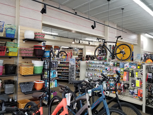 Bicycle Store «Orange Cycle», reviews and photos, 2204 Edgewater Dr, Orlando, FL 32804, USA