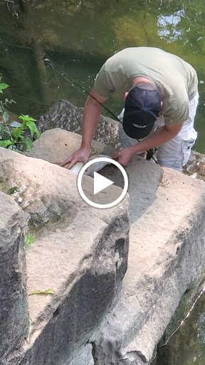 Nature Preserve «Canawaugus Park», reviews and photos, Rochester St, Scottsville, NY 14546, USA