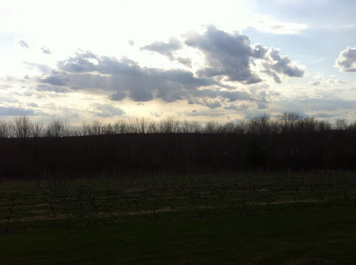 Vineyard «Miranda Vineyard», reviews and photos, 42 Ives Rd, Goshen, CT 06756, USA