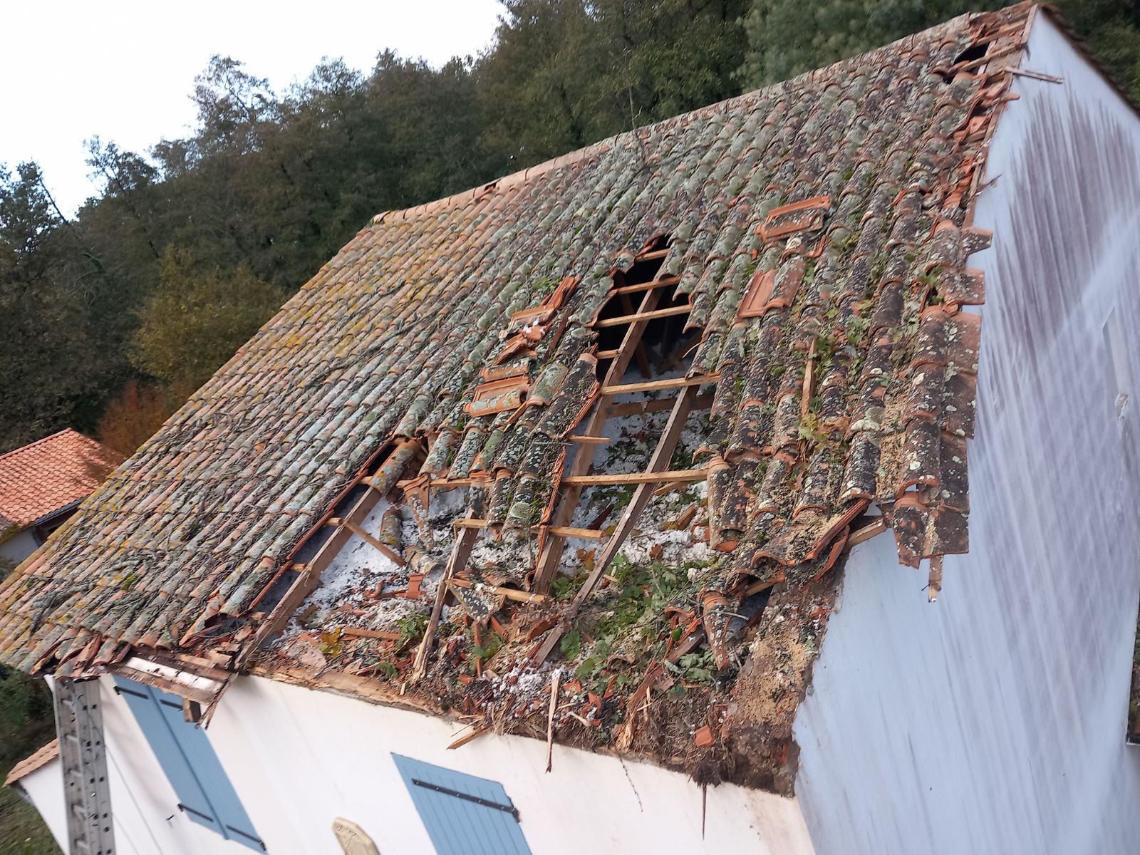 Photo n° 1 de l'avis de Thierry.a fait le 18/11/2023 à 08:33