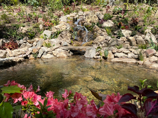 DreamScapes Water Features & Landscape image