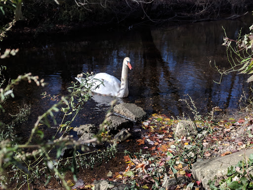 Park «Mansfield Park», reviews and photos, 85 Walker St, Massapequa Park, NY 11762, USA