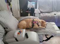 Scarlett's Pet Sitting LLC - Photo 5 - Car repair in Davie, FL, Pembroke Pines